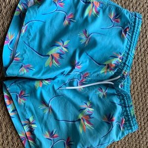 Men’s Chubbies swim trunks